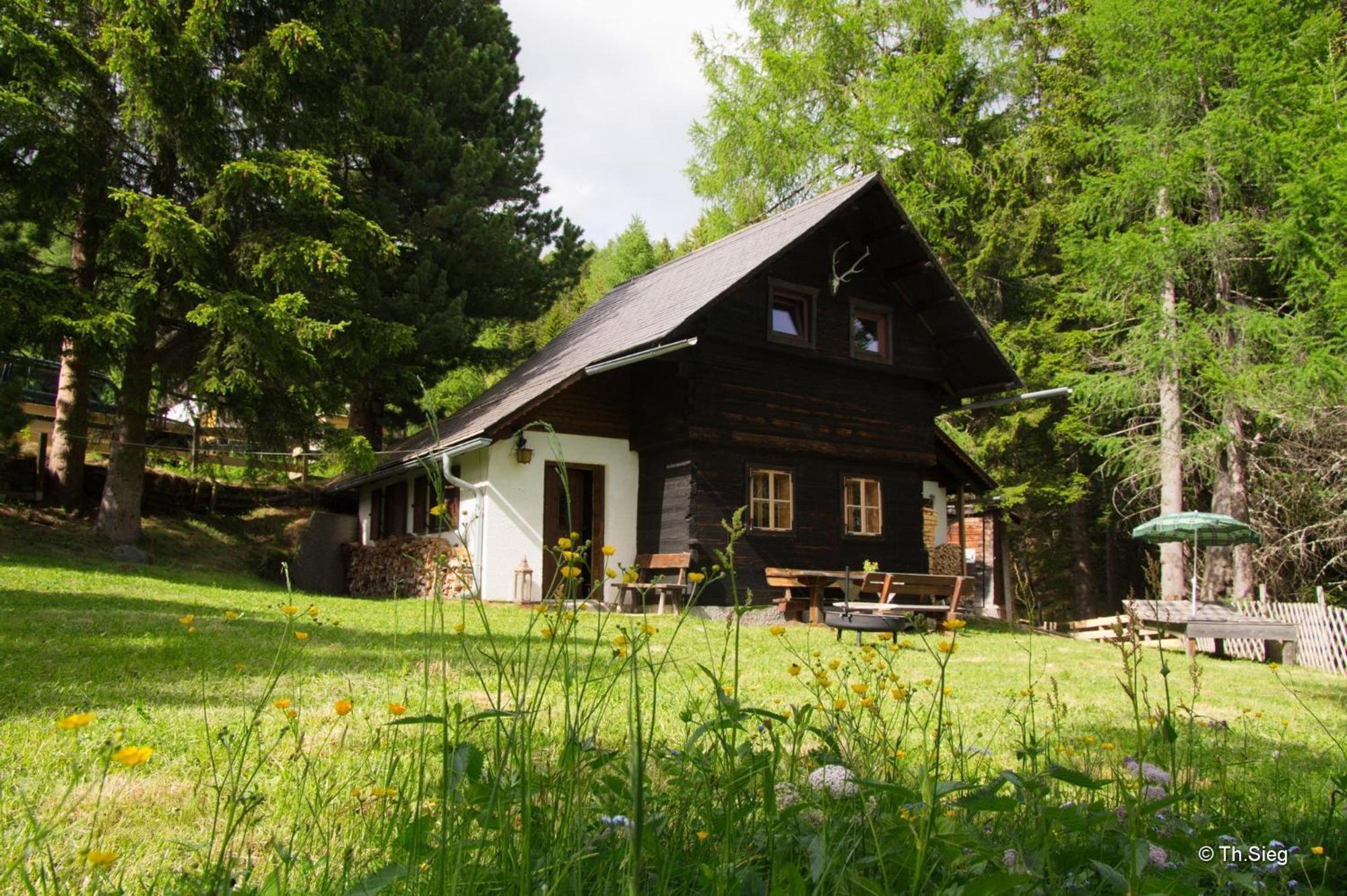 Falkert-Hutte „Beim Almohi" Villa Patergassen Esterno foto