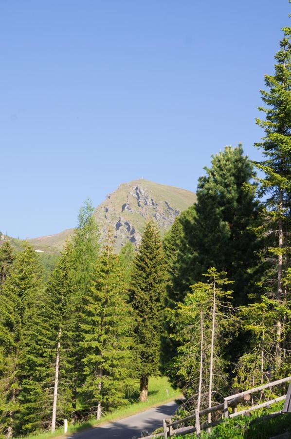 Falkert-Hutte „Beim Almohi" Villa Patergassen Esterno foto