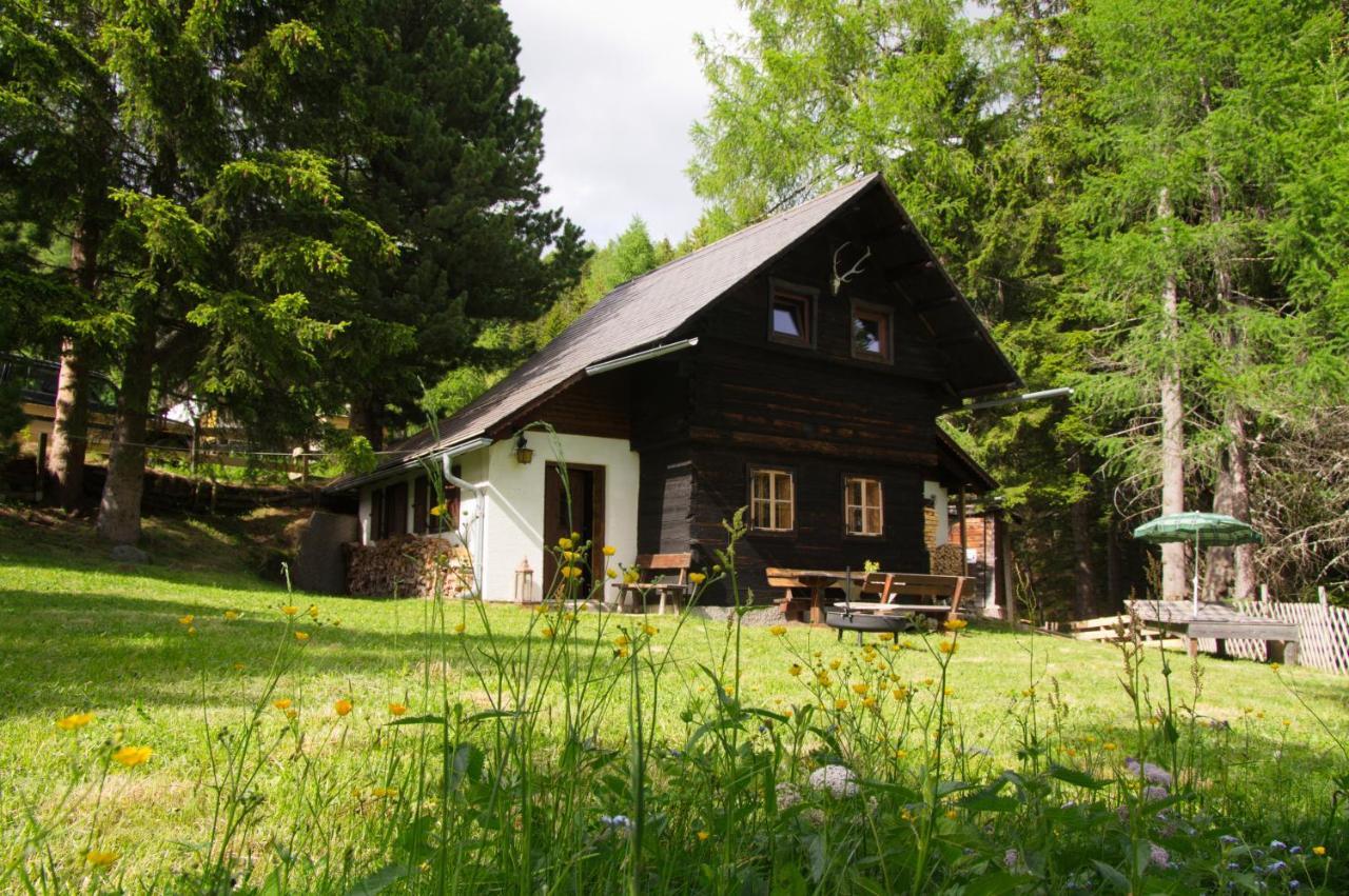 Falkert-Hutte „Beim Almohi" Villa Patergassen Esterno foto