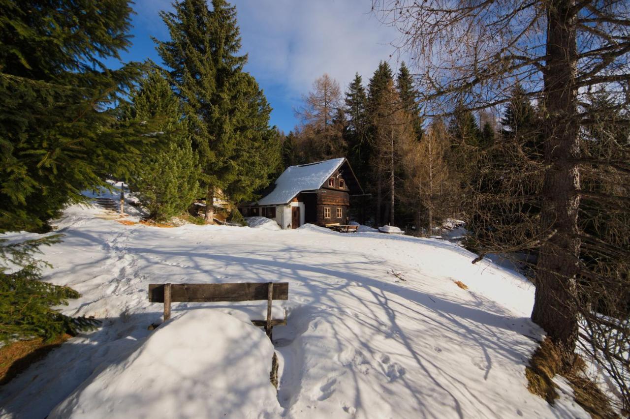 Falkert-Hutte „Beim Almohi" Villa Patergassen Esterno foto