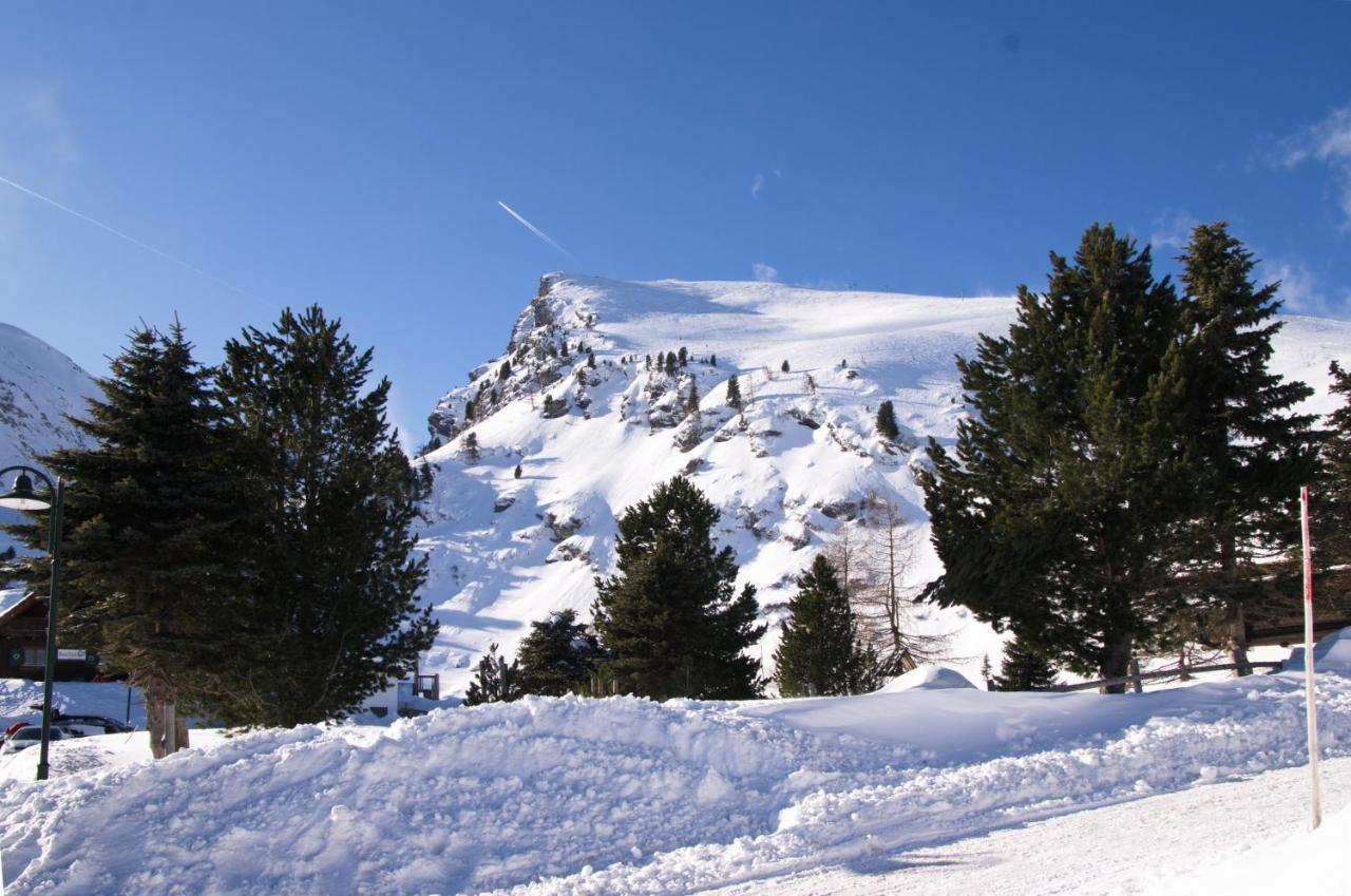 Falkert-Hutte „Beim Almohi" Villa Patergassen Esterno foto